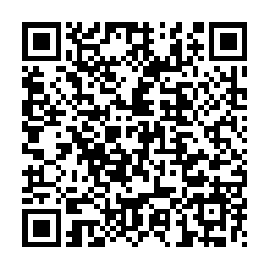 至于她之前为什么建议濮小虎和警卫团长躲在这个山洞里等无智大师二维码生成