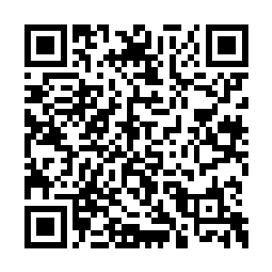 至于娑娜则是跟着蛇夫圣骑一起回到了圣庭之中二维码生成