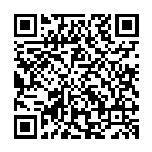 至于孔灵儿巴不得能够和小金这个可爱的小家伙多呆一会儿呢二维码生成