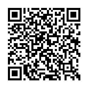 至于它的同类早在很多年前便被仙域的人消灭了二维码生成