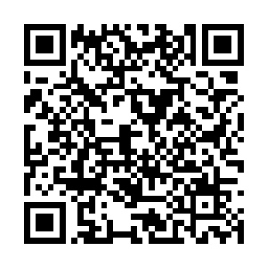 至于安全方面的问题龙傲天根本就没有一点的担心二维码生成