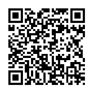 至于容冶则是疑惑江迟聿现在是在搞什么鬼――二维码生成