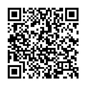 至于对方所说的还有七个小时就要开始行动的事二维码生成