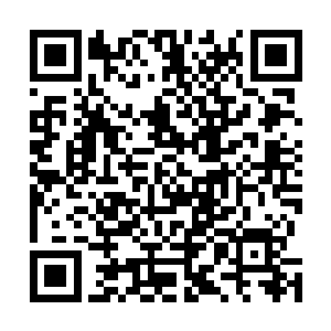 至于小白和轻落……林烽的目光在两个人的身上扫了一眼二维码生成