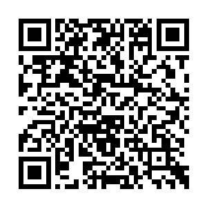 至于廖辽的年度最佳女歌手……按照曹霑的说法二维码生成