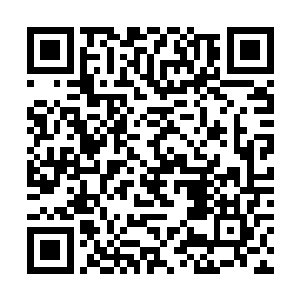 至于当初一贫真人认出愤怒也完全是因为他嗜剑成痴二维码生成