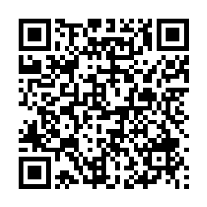 至于拉拉·阿玛丽娅的表情就更别提有多精彩了……二维码生成