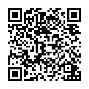 至于收服或者不收服半兽人族他们倒是没有任何的意见二维码生成