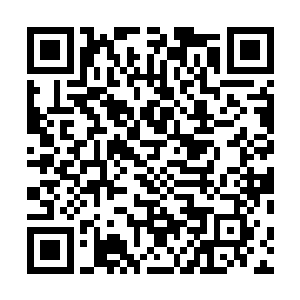至于星光大陆那些圣级修士倒是提升的速度略微快上一些二维码生成