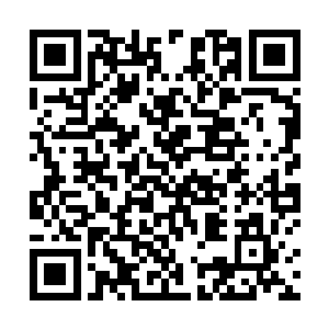 至于是不是开枪对于自己来说还真的就不是那么的重要二维码生成