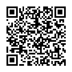至于最后被毒龙偷袭险些丧命被霍君白所救之事却是只字不提二维码生成