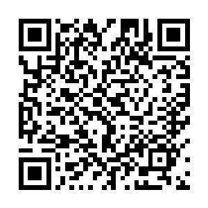 至于林烽本人则是优哉游哉的给自己施展了一个隐身术二维码生成