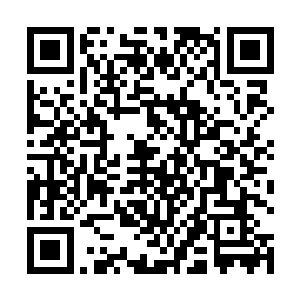 至于欢喜哥怎么知道自己在种植人参的时候也不去想了二维码生成