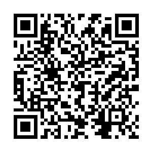 至于殷蔓蔓所说她当时只是无意间才拍摄下的视频证据二维码生成