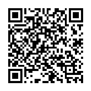至于江斌和雷海叶身体里的这种特殊物质是从哪里来的二维码生成