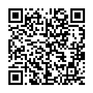 至于没抢到的那个人……左右还有二十几天才到蛊虫发作之日二维码生成