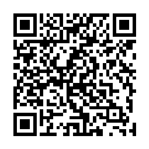 至于波罗涅申科为什么会选择通过白鲨帮下手就不知道了二维码生成