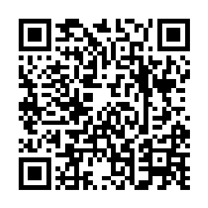 至于白衣青年却是被其冷不丁的一拳砸的不由爆起了粗口二维码生成