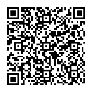 至于秦渭的御用摄影师顾师道拿过的那个什么埃及开罗国际电影节的最佳摄影奖拜托二维码生成