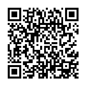 至于第七殿与第六殿开出的以一百亿极品神晶庇护百年的条件二维码生成