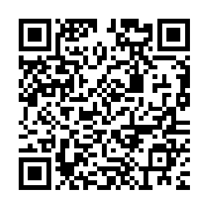 至于胡方野和温兆华花费了那么多钱所设的陷阱就这样被淹没了二维码生成