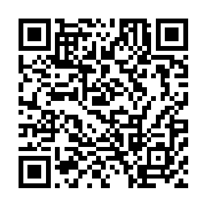 至于苏凡等人在吃了这家菜之后确实不得不大大的给一个赞二维码生成