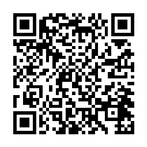 至于苏凡等人看着这一幕也是不由的露出了一抹笑意二维码生成