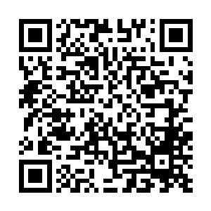 至于莫咏欣因为还要处理一下莫家下面的控股公司的事情二维码生成