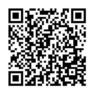 至于蛇天还有风翔宇几个人则是直接回到了天龙宗二维码生成