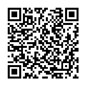至于说现在灵宝阁几乎开遍了寒阳大陆的各大帝国二维码生成