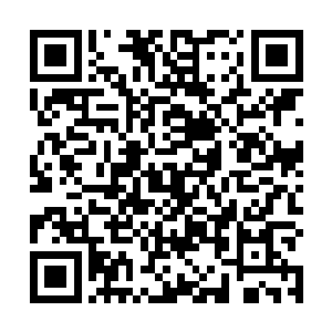 至于说直接施展术法腾云去的……就猴子这档次的仙家二维码生成