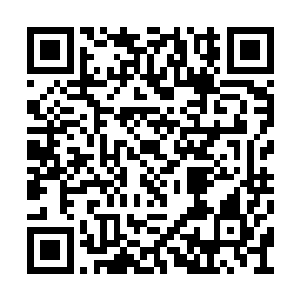 至于这些东西的真正的价值显然不是她所关心的二维码生成