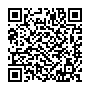 至于这些人废了之后会不会因为交不上仙石被杀二维码生成