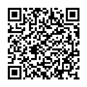 至于这些人的家人也被赵翼等人给无情的斩杀了二维码生成