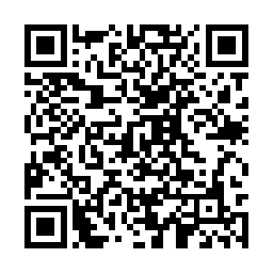 至于这次律师给他安排的法国姑娘也挺令他满意的二维码生成