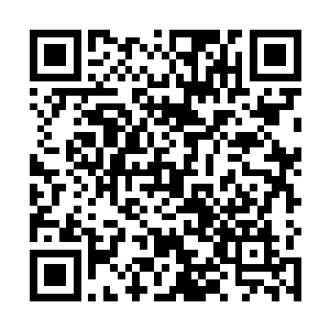 至于这里的南方会不会越向南就越像热带森林一样恐怖二维码生成