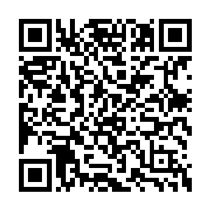 至于那个传送阵的事情众人也听两位长老说过了二维码生成