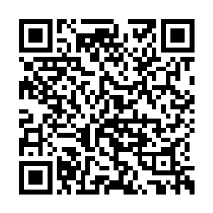 至于那个超级大宗门为何会在这里设置一个分舵二维码生成