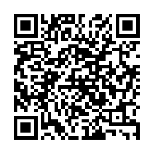 至于那个骗局参与者之一的李德良则是被人丢到了一边二维码生成