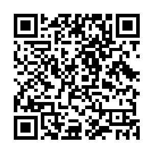 至于那些密密麻麻的海关能不能让你进入就看你的本钱了二维码生成