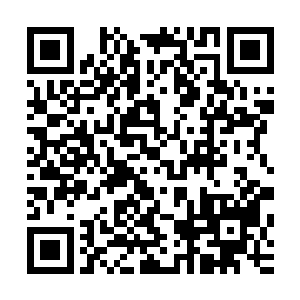 至于金蚕手套和金丝软甲之类的东西都是需要的时候才能用上二维码生成