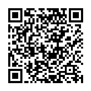 至于阿米举起的拳头此刻却是轻轻的锤在了苏凡的胸口二维码生成