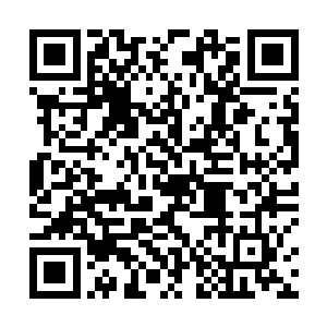 至于青脉核心天罗青种元灵与高傲凤凰少女的特殊分身二维码生成