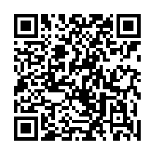 至于青铜女巨人只血脉更是形成了雷林血脉进化的推动力二维码生成