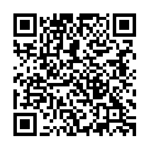 至于风天翔所说能治好她的病这事情她倒是没有特别放在心上二维码生成