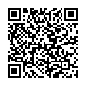 至到昨天这种风头过去贝海今天才跑到了海上逛了一圈二维码生成
