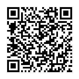 至尊境和领域境……足足差了四个大级别相当于十几个小级别二维码生成