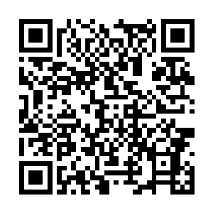 至尊灵力丹的确能够让你晋级气宗的机会增加两成二维码生成