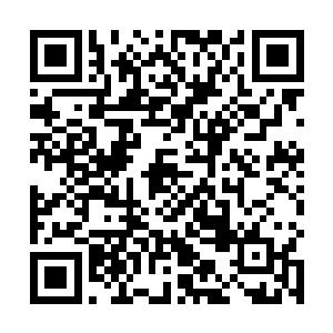 至少一顿饭吃下上百个包子和十几碗面条是绝对不正常二维码生成