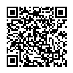 至少上次那件事苏凡觉得威廉帮自己的已经够多的了二维码生成